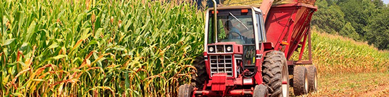 trade corn CFDs