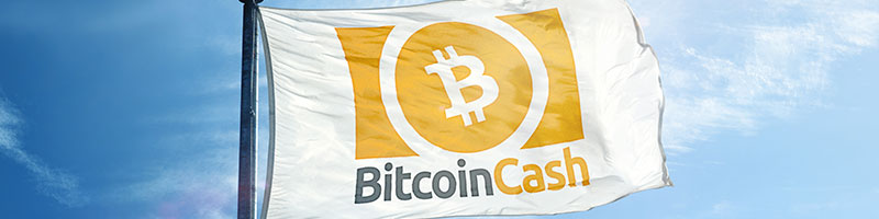 How to buy bitcoin cash with bitcoin How to buy bitcoin cash with bitcoin